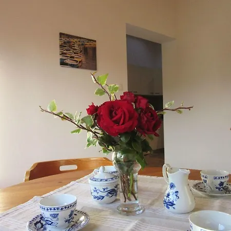 Domagoj Appartement Bol