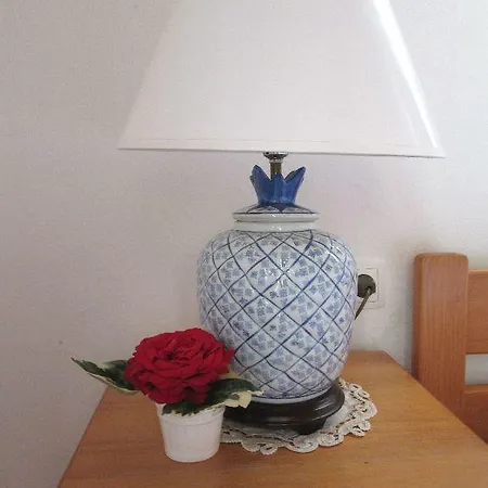 Domagoj * Bol
